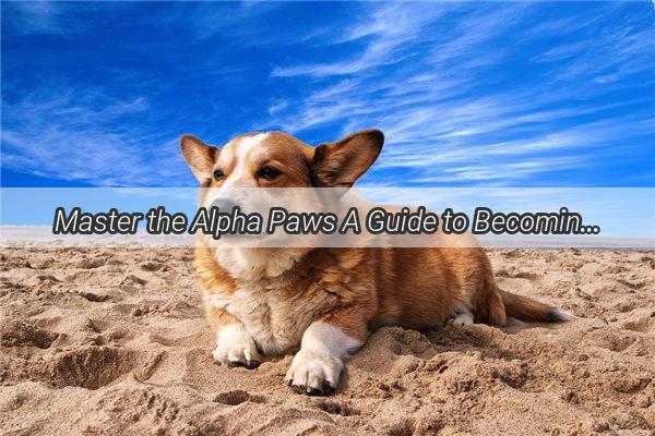 Master the Alpha Paws A Guide to Becoming a Top Dog in Every Aspect